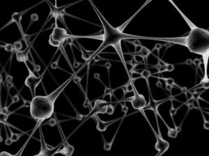 Network Neurons by Gerard79