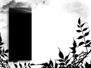 Black Label by Zsuzsanna Kilián